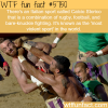 the most violent sport in the world wtf fun