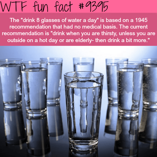 The Myth of Drinking 8 Glasses of Water - WTF fun facts