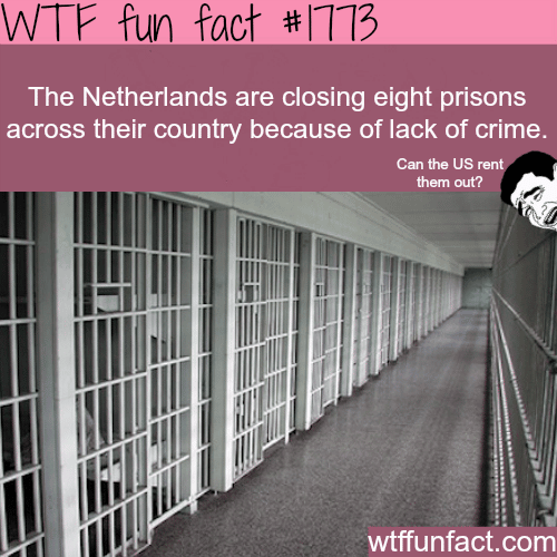The Netherlands are running out of crime - WTF fun facts