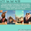 the news reporter in zootopia is different in each