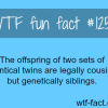 the offspring of two sets of identical twins are legally