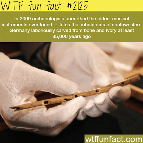 The oldest musical instruments ever found - WTF fun facts