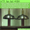 the oldest running battery wtf fun facts