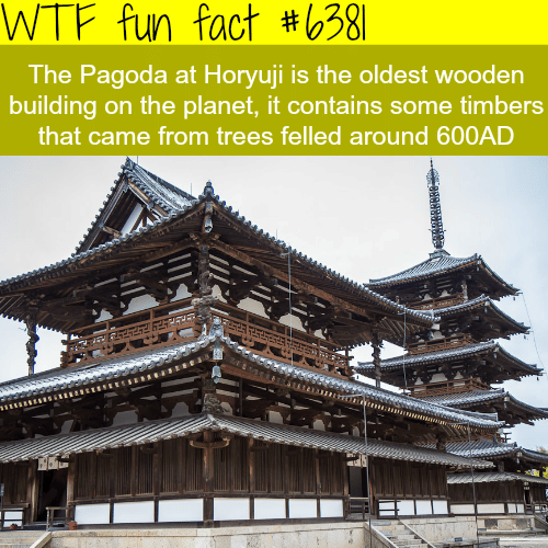 The oldest wooden building in the world - WTF fun facts