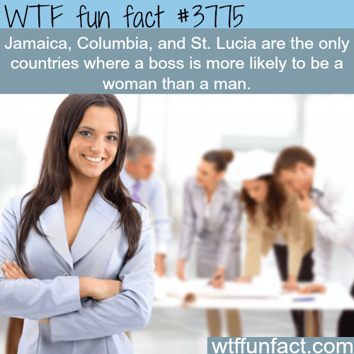 The only countries where there are more female bosses than male - WTF fun facts