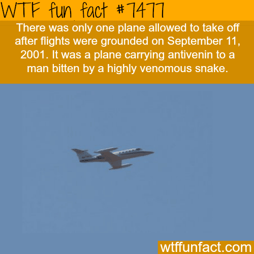 The only plane that was allowed to take of after 9/11 - FACTS