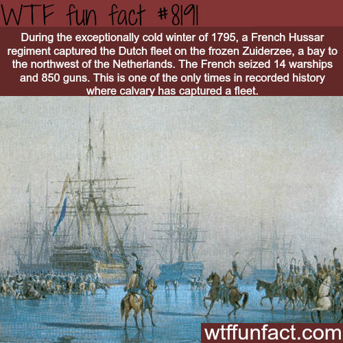 The only time cavalry captured a fleet - WTF fun fact