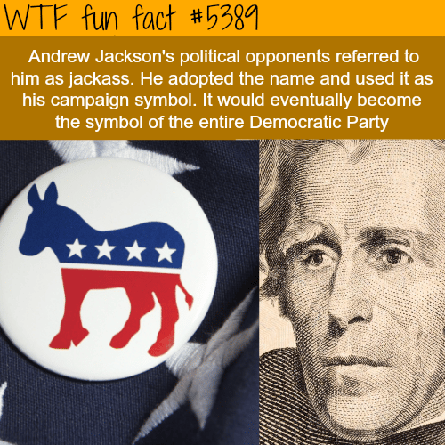 The origin of the Democratic party symbol - WTF fun facts