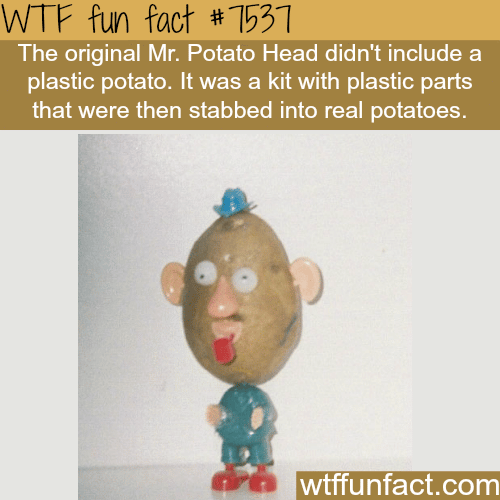 The Original Mr. Potato Head - WTF fun facts 