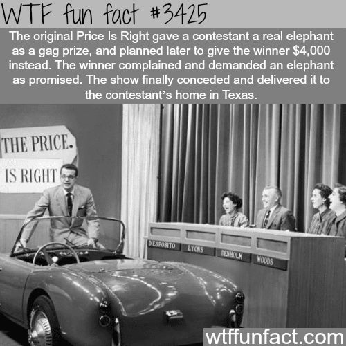 The original price is right -  WTF fun facts