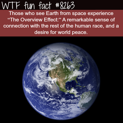 The Overview Effect - WTF fun facts
