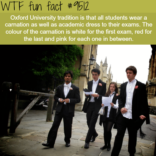 The Oxford University Tradition - WTF fun fact