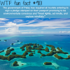 the palau government wtf fun fact