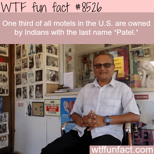 The Patel motel cartel - WTF fun facts