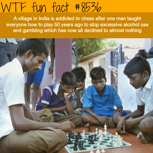 The people of this Indian village are addicted to chess - WTF fun facts