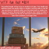 the perfect length vacation wtf fun facts