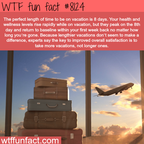 The perfect length vacation - WTF fun facts