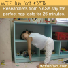 the perfect nap wtf fun facts