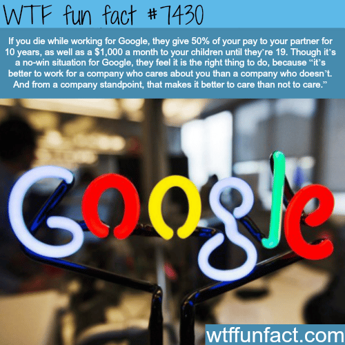 The perks of working at Google - Facts 
