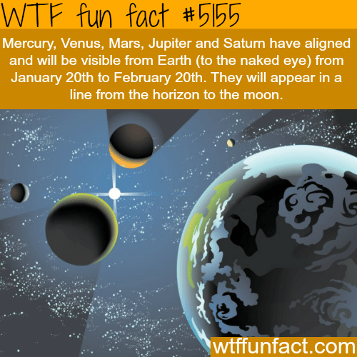 The planets have aligned and you can see them from earth - WTF fun facts