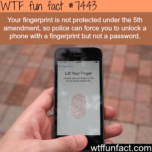 The police can force you to unlock your phone… - Facts