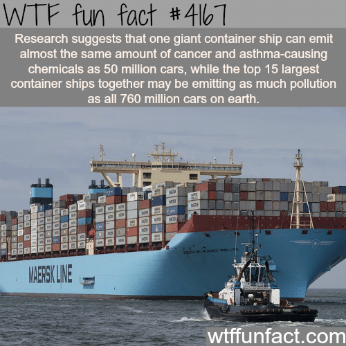 The pollution and chemicals caused by container ships -  WTF fun facts