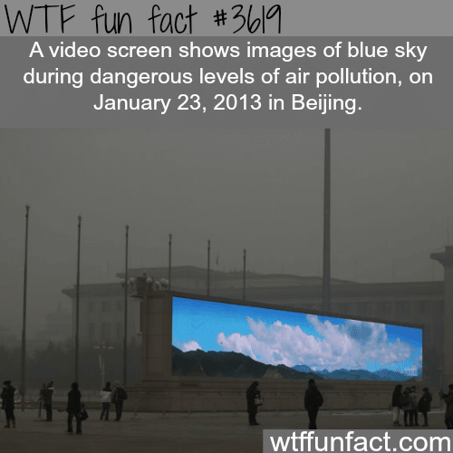 The pollution in Beijing
