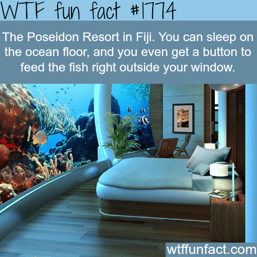 The Poseidon Resort in Fiji - WTF fun facts