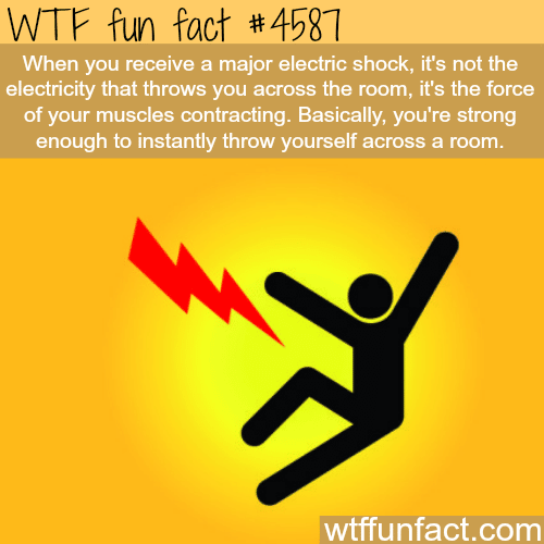 The power of the human muscles -   WTF fun facts