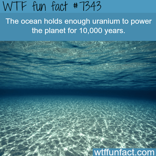The power of the ocean - WTF fun fact