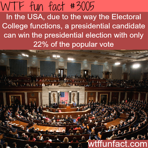 The problem with the U.S. elections -  WTF fun facts