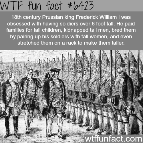 The Prussian King bred tall men for his army - WTF fun facts