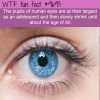 the pupils of human eyes are at their largest as