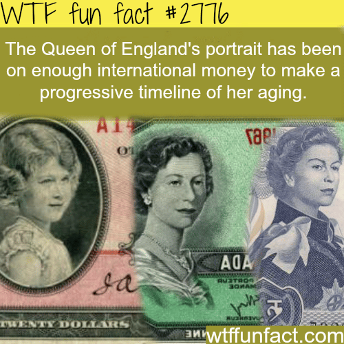 The queen of England portrait on money - WTF fun facts