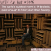 the quietest room in the world wtf fun facts
