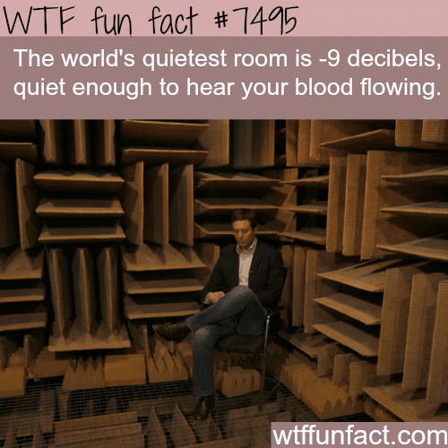 The quietest room in the world - WTF FUN FACTS