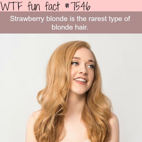 The rarest type of blonde hair - WTF fun facts