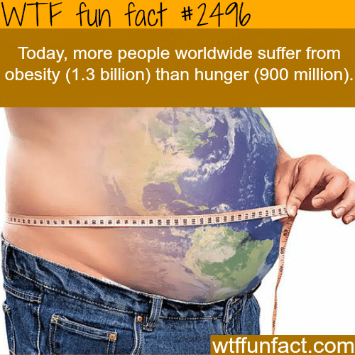 The rate of obesity VS the rate of hunger - WTF fun facts