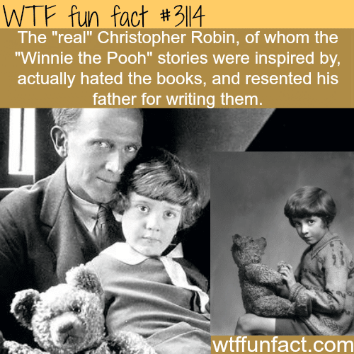 17 Facts About Pooh Bear (Winnie The Pooh) 