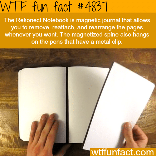 The Rekonect Notebook - WTF fun facts
