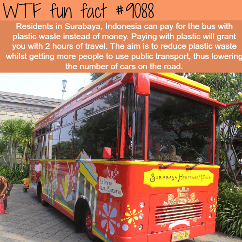 The residents of Indonesia can pay for the bus using plastic waste - WTF fun fact