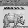 the rhinoceros party wtf fun facts