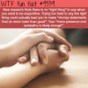 the right thing to say wtf fun facts