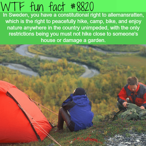 The right to roam - WTF fun facts 