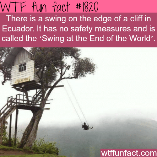 The scariest swing? - WTF fun facts