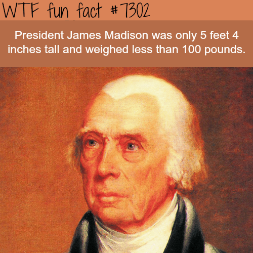 The shortest U.S. president in history - WTF fun fact