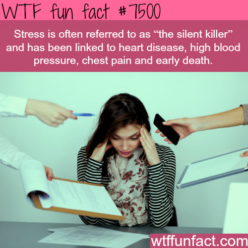 The silent killer - WTF FUN FACTS