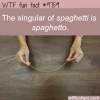 the singular of spaghetti is spaghetto