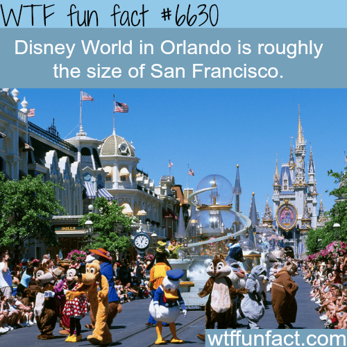 The size of Disney World in Orlando - WTF fun facts