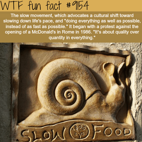 The slow movement - WTF Fun Facts